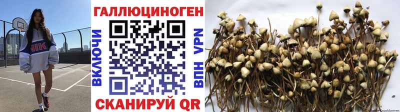 Псилоцибиновые грибы ЛСД  мега вход  Заринск  наркотики 